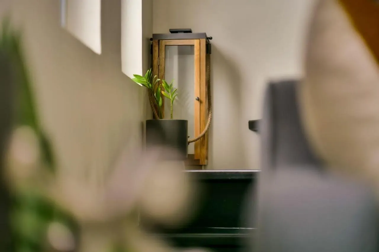 Choose To Be Happy At Ei8Ht! - Super Studios And Penthouse Apartment Kingston
