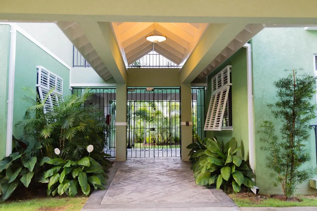 Choose To Be Happy At Ei8Ht! - Super Studios And Penthouse Apartment Kingston