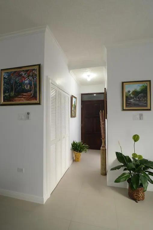 Choose To Be Happy At Ei8Ht! - Super Studios And Penthouse Apartment كينغستون